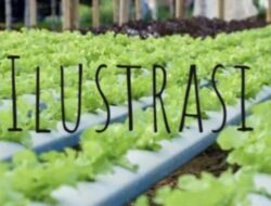 Sudin KPKP Kepulauan Seribu Prioritas Program Yang Bersentuhan Langsung dengan Masyarakat.