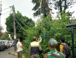 Tiga Pilar Kecamatan Kembangan Tertibkan Atribut Ormas di Meruya dan Srengseng