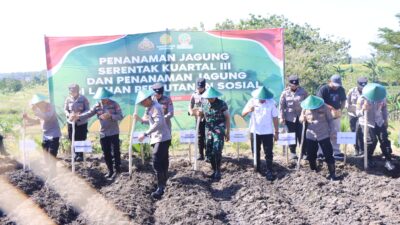 Usai dilantik Kapolres Madiun Gerak Cepat Turun ke Warga Tanam Jagung Bersama