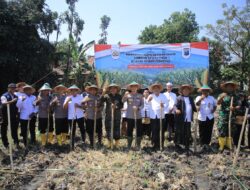 Polres Madiun dan Ponpes Al Syafi’i Bersinergi Tanam Jagung untuk Swasembada Pangan