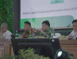 Tumbuhkan Ekonomi Baru, Pemerintah Dorong Pemda Manfaatkan Potensi Pariwisata Lokal