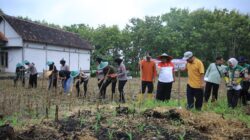 Dukung Ketahanan Pangan Nasional, Polres Madiun Gelar Tanam Raya Jagung Serentak Kuartal I di Geger