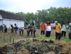 Dukung Ketahanan Pangan Nasional, Polres Madiun Gelar Tanam Raya Jagung Serentak Kuartal I di Geger